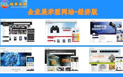 沙井網站制作服務 、沙井網站建設多少錢 - 深圳市瑞華金源科技